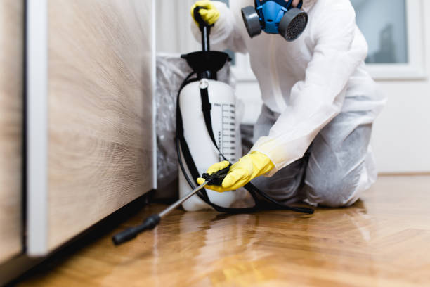 Best Best Pest Control Companies  in Machesney Park, IL
