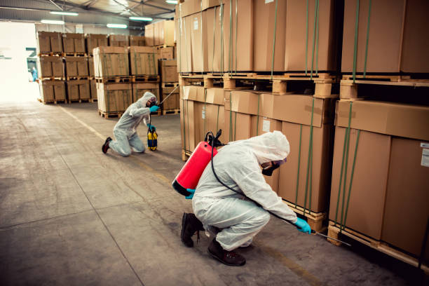 Wildlife Control Services in Machesney Park, IL