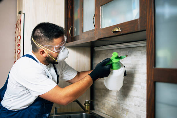 Best Best Pest Control Companies  in Machesney Park, IL