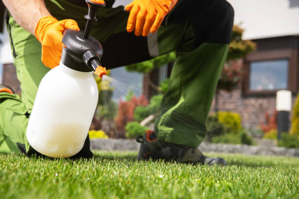 Best Best Pest Control Near Me  in Machesney Park, IL