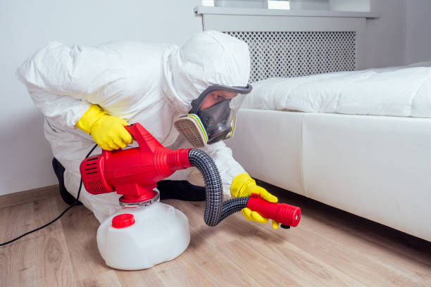 Best Pest Control Near Me in Machesney Park, IL
