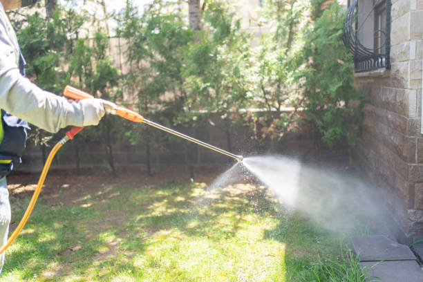 Trusted Machesney Park, IL Pest Control Experts