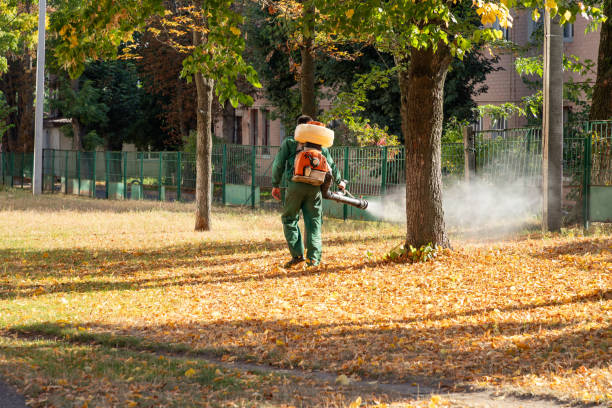 Best Rat Extermination Near Me  in Machesney Park, IL