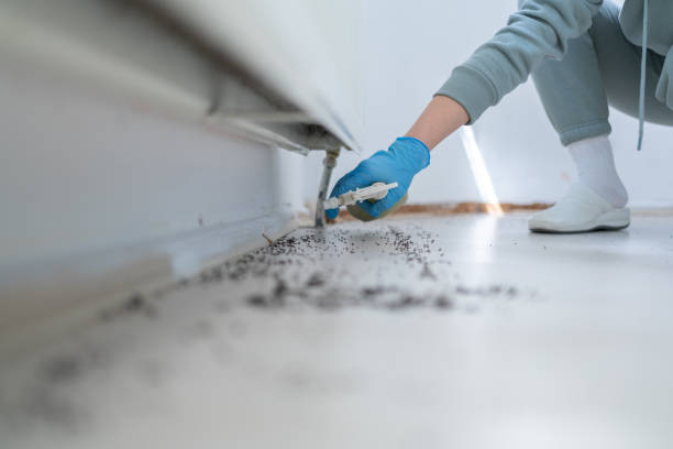 Best Cockroach Control Services  in Machesney Park, IL