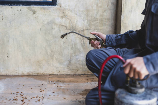 Best Affordable Pest Control Services  in Machesney Park, IL